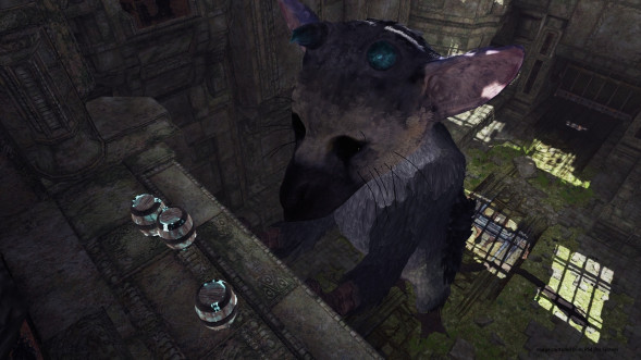 The Last Guardian: Последний хранитель [PS4, русские субтитры] в Ижевске