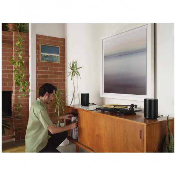 Умная колонка Sonos Era 100, черный в Ижевске