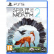 Игра Spirit of the North 2 [PS5, русские субтитры] в Ижевске