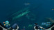 Игра Subnautica: Below Zero [PS5, русские субтитры] в Ижевске