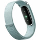 Фитнес-браслет Google Fitbit Air (Серо-голубой/Fog) в Ижевске