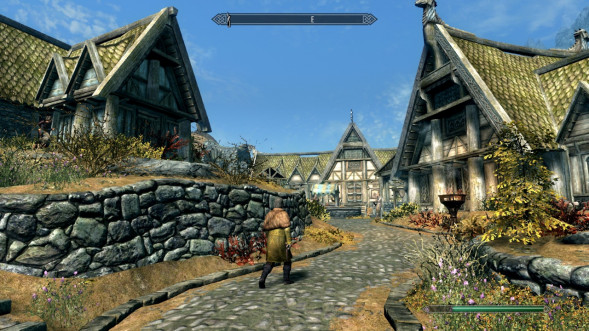 Elder Scrolls V: Skyrim Anniversary Edition [PS4, русская версия] в Ижевске