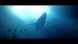 Игра Under The Waves [PS4, русские субтитры] в Ижевске