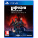 Игра Wolfenstein Youngblood Deluxe Edition [PS4, русская версия] в Ижевске